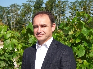 Dominique Guignard entend renforcer l'appellation Graves Dominique Guignard entend renforcer l'appellation Graves