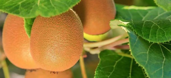 PH site Berkem PH site Berkem