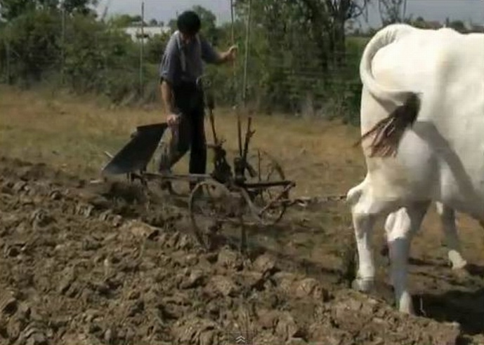 En marge des Terres de Jim:le lent sillon de la charrue à travers les âges En marge des Terres de Jim:le lent sillon de la charrue à travers les âges