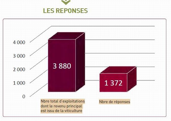 La viticulture girondine en crise