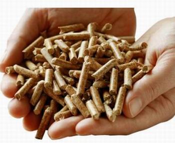 Chauffage et énergie:la filière pellets en forme