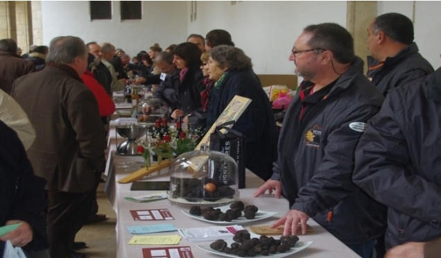 C'était au premier marché de Bordeaux... (Ph Paysud) C'était au premier marché de Bordeaux... (Ph Paysud)