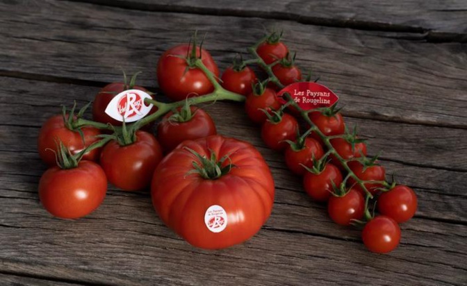 La tomate de Marmande en Label Rouge