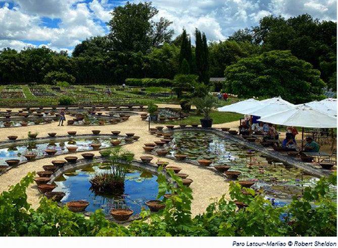 Le Parc Latour-Marliac du Temple-sur-Lot primé