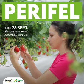 Fruits et légumes:rendez-vous à Douville (24) Fruits et légumes:rendez-vous à Douville (24)