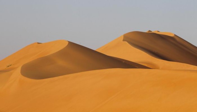 Ph Cadence Hong Ph Cadence Hong