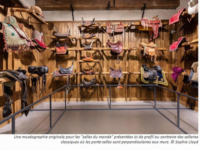 Le renouveau du Musée du cheval de Chantilly Le renouveau du Musée du cheval de Chantilly