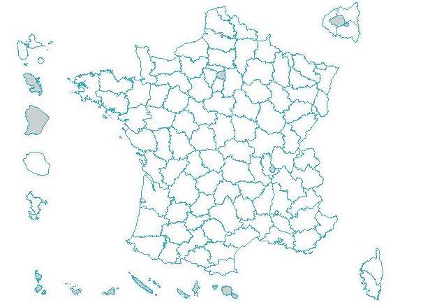 Les résultats des élections départementales