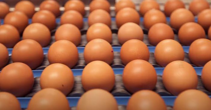 Capture écran vidéo CNPO Capture écran vidéo CNPO