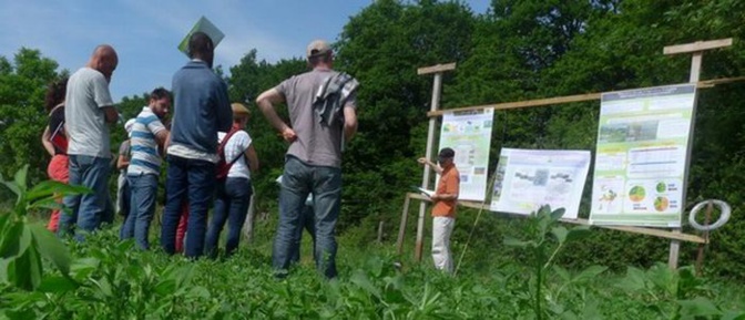 Ecophyto-Dephy:un réseau expérimental (ph chambres d'agriculture) Ecophyto-Dephy:un réseau expérimental (ph chambres d'agriculture)