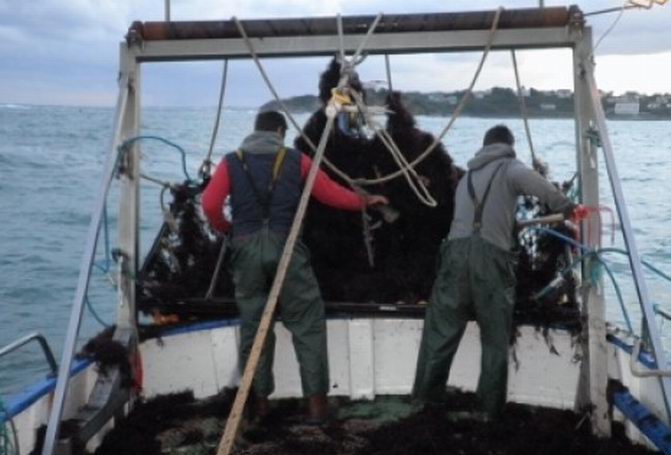 Bateau de St Jean-de-Luz (DR) Bateau de St Jean-de-Luz (DR)