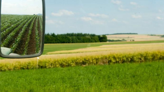 Ph Cheik Chaïdou ((MA) Ph Cheik Chaïdou ((MA)