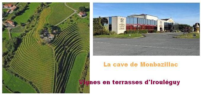 Les caves coopératives d'Irouléguy et de Monbazillac primées pour leurs projets 