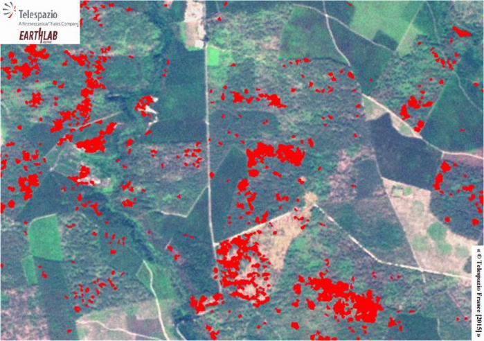 Première européenne:l'état sanitaire de la forêt landaise surveillé par télédétection