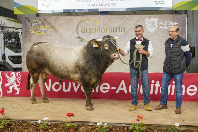 Taïwan (ph Pierre Frei) Taïwan (ph Pierre Frei)