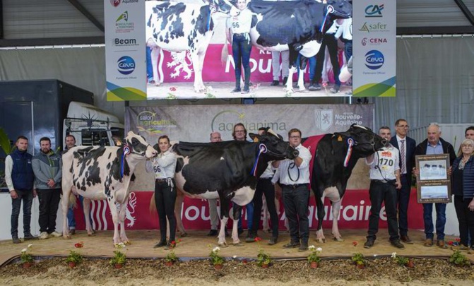 Ph Pierre Frei Ph Pierre Frei