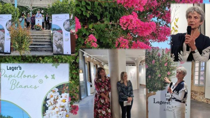  Bergerac fête les 150 ans du Lagerstroemia 