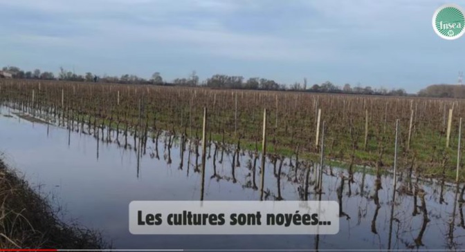 Cliquer pour voir la vidéo Cliquer pour voir la vidéo