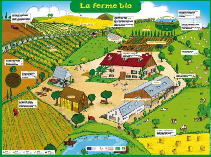 Un outil pédagogique de communication de la bio (DR) Un outil pédagogique de communication de la bio (DR)