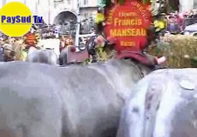 Une vidéo (2009) sur la fête du boeuf gras de Bazas Une vidéo (2009) sur la fête du boeuf gras de Bazas