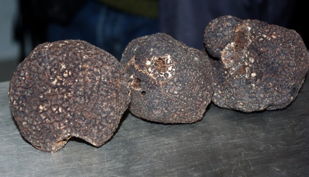 22 marchés annoncés en Lot-et-Garonne 22 marchés annoncés en Lot-et-Garonne