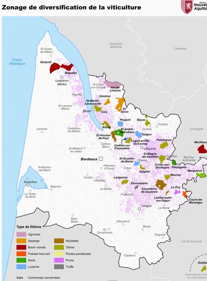La Nouvelle-Aquitaine aide la reconversion viticole