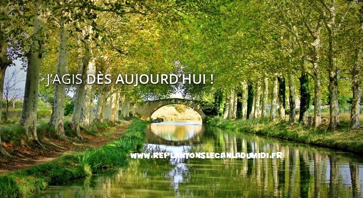 Sept artistes s'engagent en faveur de la replantation du canal du Midi