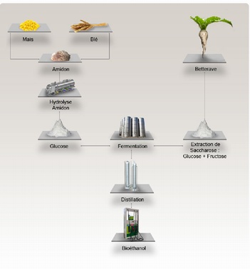 Principe de la production du bioéthanol (SNPAA)