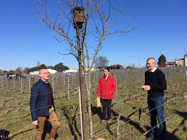 Visite d'un vignoble écologique au cours de la semaine bio de Gironde (ph Département de la Gironde)