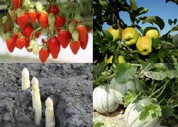 Huit associations ensemble à Bordeaux (ph DR) Huit associations ensemble à Bordeaux (ph DR)