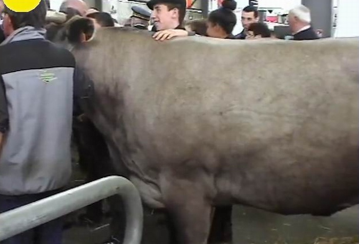 La bazadaise au salon de l'agriculture de Bordeaux (ph PaysudTv)