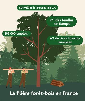  FORÊT-BOIS:Manifeste à l'adresse des candidats