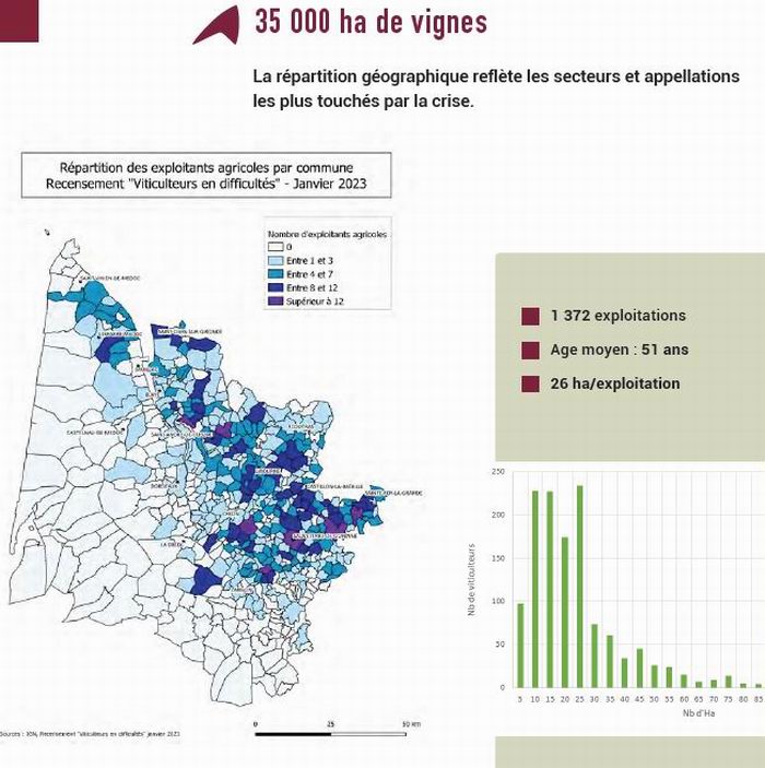 La viticulture girondine en crise