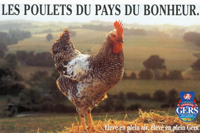 Le poulet,le bonheur,le pré... (DR)