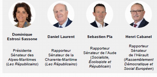 Les auteurs du rapport