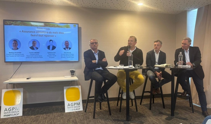 Maïs doux:entre baisse de la consommation et  concurrence