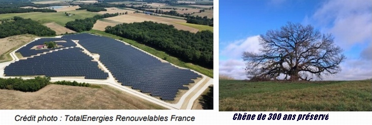 TotalEnergie lance une centrale photovoltaïque à Tombeboeuf (47)