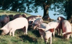 Le dessus du panier de l'Occitanie au Salon de l'Agriculture