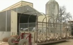 Le massacre des canards continue