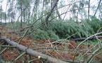  Tempête du 24 janvier: une lourde addition en Aquitaine