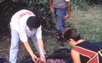 Opération de ferme en ferme en Lot-et-Garonne