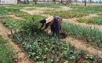 Quand la musique contribue à l'amélioration de la nutrition au Burkina Faso
