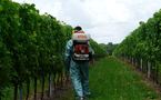 Les bonnes pratiques de la chambre d'agriculture de Gironde