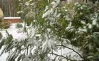 Janvier pas chaud: la neige gagne du terrain