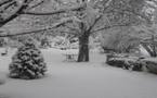 La Provence sous la neige