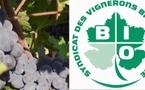 La grogne des vignerons bios d'Aquitaine