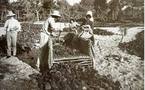 Des forêts et des hommes à  La  Teste de Buch (Gironde)