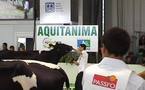 Aquitanima: concours Prim'Holstein sur fond de grandes inquiétudes