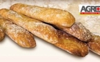 Les nouvelles baguettes arrivent avec le coup de pouce de l'Agropole agenais