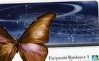 Une enveloppe de plus de 32 millions d'euros pour l'Université de Bordeaux